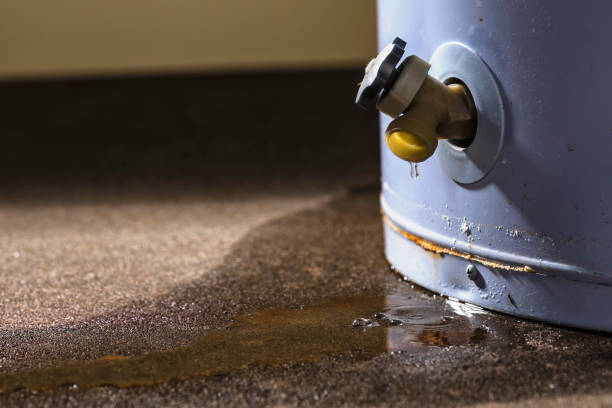Best Water damage restoration near me  in Skyline, AL