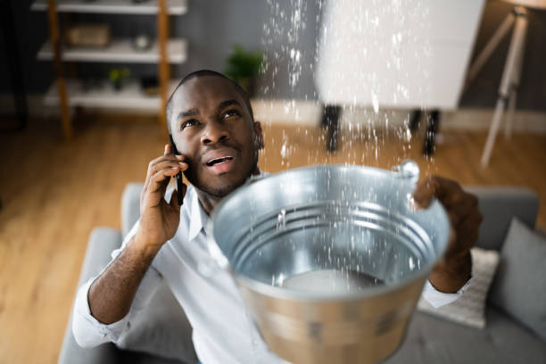 Best Carpet water damage restoration  in Skyline, AL