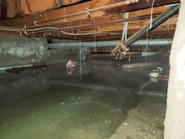 Water damage restoration mold remediation in AL