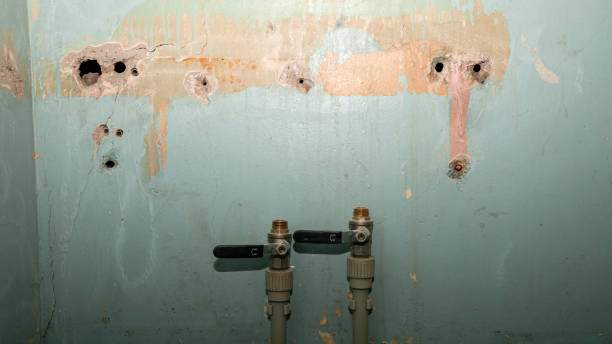 Local water damage restoration in AL