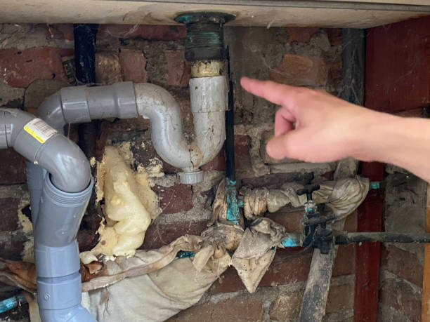 Best Professional water damage repair  in Skyline, AL