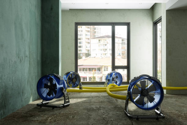 Best Water damage cleanup near me  in Skyline, AL
